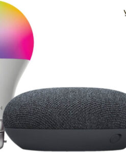 Google Nest Mini with smitch free
