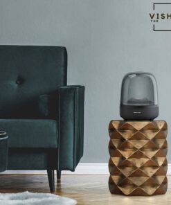 Harman Kardon best speaker